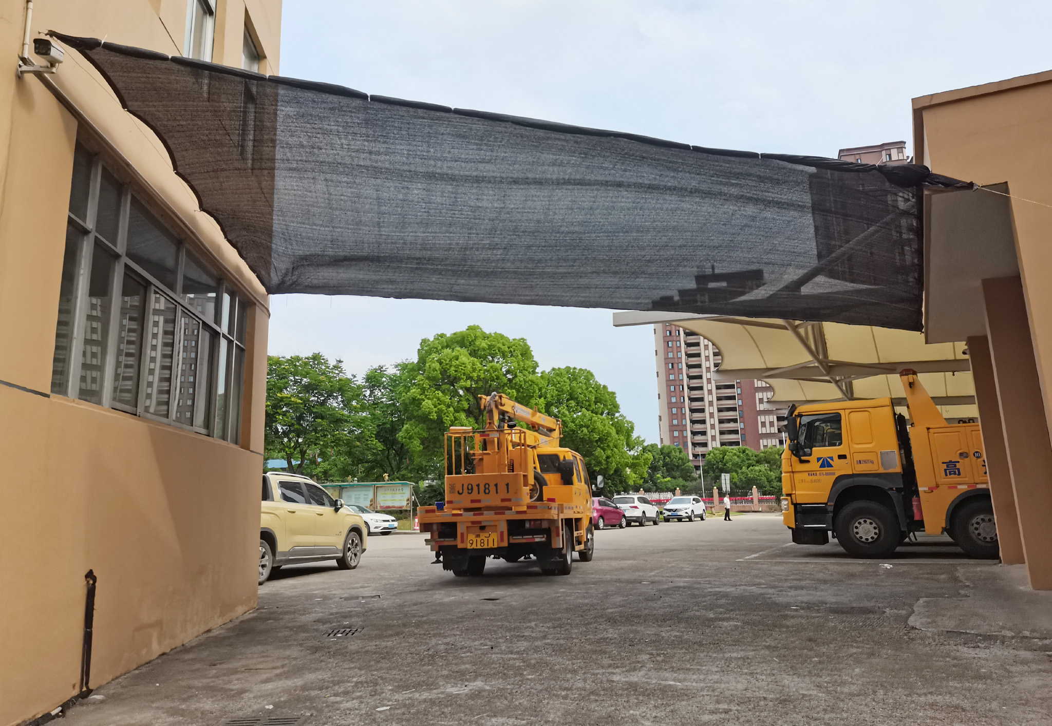 1686011337781927.jpg 圖為已安裝完成的這陽網(wǎng)效果.jpg